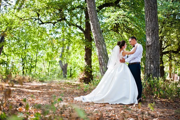 Superbe couple de mariage au parc d'automne amoureux — Photo