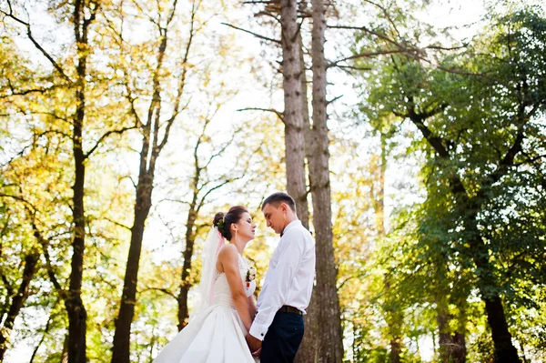 Prachtige bruidspaar in herfst park in liefde — Stockfoto