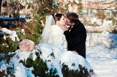 Güneşli kış günü genç düğün çifte