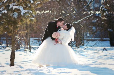 Güneşli kış günü genç düğün çifte