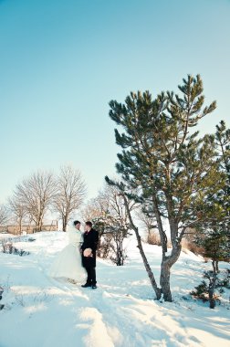 Güneşli kış günü genç düğün çifte