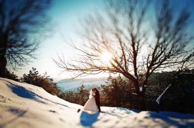 Güneşli kış günü genç düğün çifte