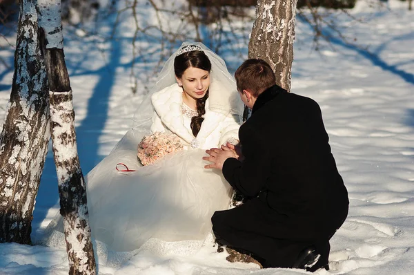 年轻的新婚夫妇在阳光明媚的冬日 — 图库照片