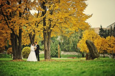 Çift arka plan üzerinde sonbahar günü düğün