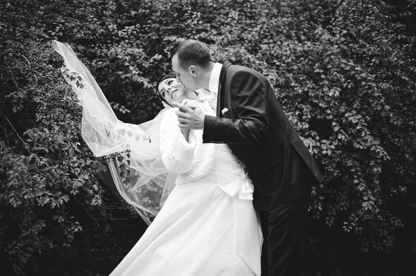 Wedding couple background  on autumn day — Stock Photo, Image