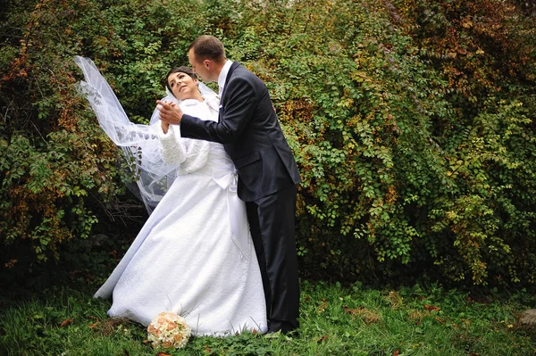 Wedding couple background  on autumn day — Stock Photo, Image