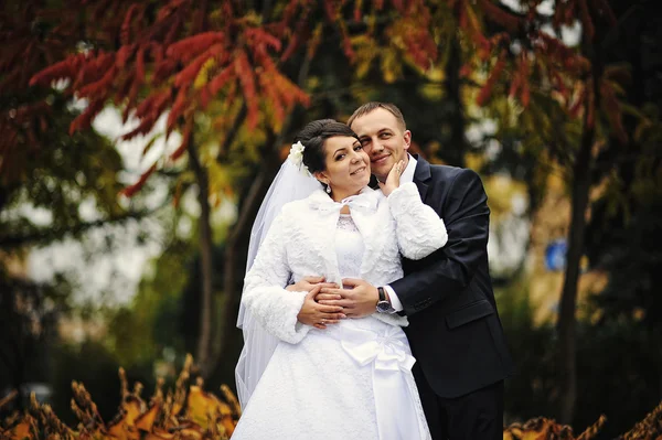 Couple de mariage fond le jour de l'automne — Photo