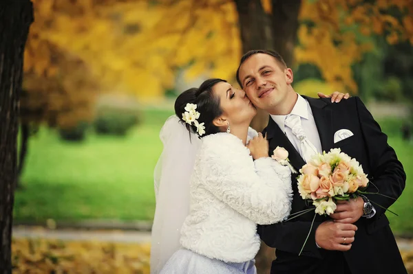 Wedding couple background  on autumn day — Stock Photo, Image