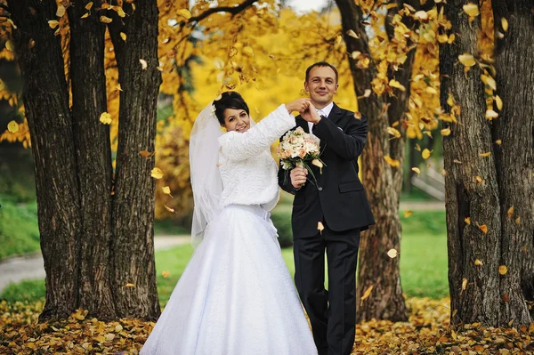Wedding couple and falling yellow autumn leaves — Stock Photo, Image