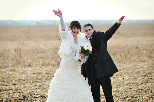 Casal de casamento feliz e sorriu no campo de milho — Fotografia de Stock