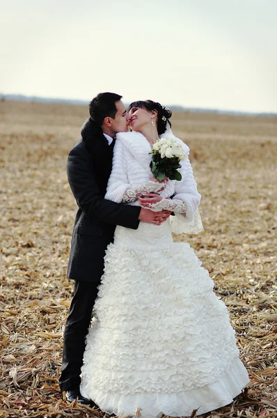 Casal de casamento feliz e sorriu no campo de milho — Fotografia de Stock