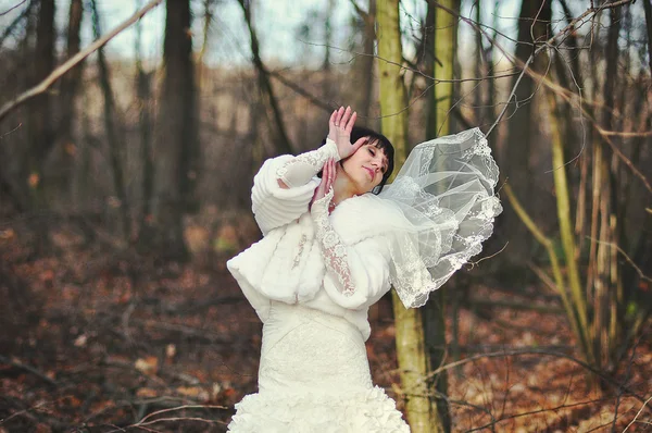 Morena novia con velo en madera —  Fotos de Stock