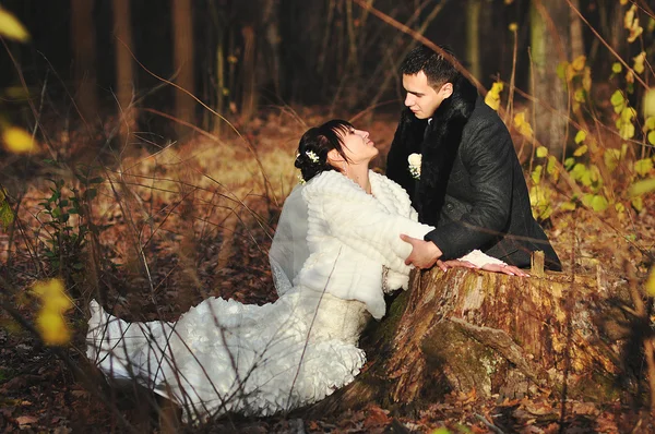 秋に寒いと晴れた日で木材にカップルの結婚式 — ストック写真