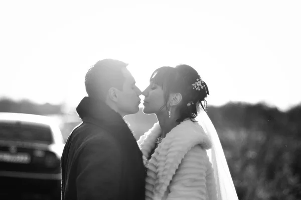 Beijar casal de casamento no backlight — Fotografia de Stock