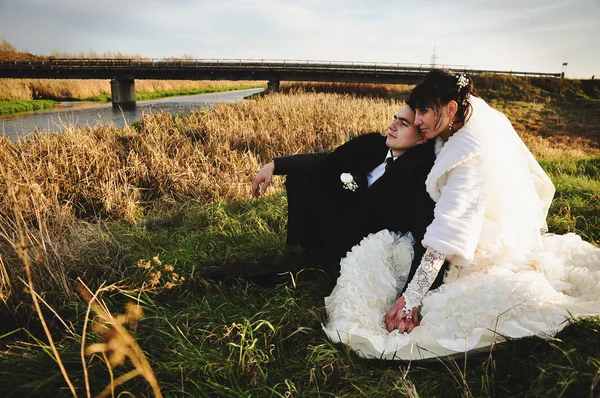 草の上に座ってフィールドで結婚式のカップル — ストック写真