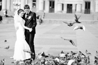 Tiyatro Meydanı, yeni evliler birçok güvercinler ile