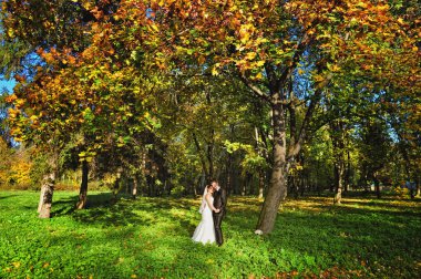 Düğün iki sonbahar orman içinde