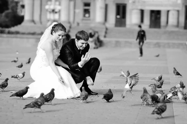 Recién casados en Theater Square con muchas palomas —  Fotos de Stock