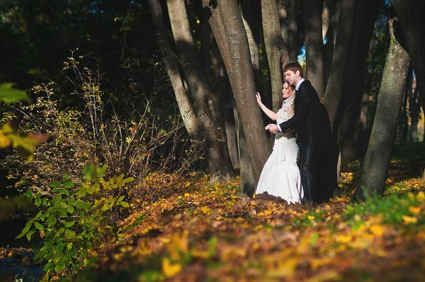 秋の森で結婚式のカップル — ストック写真