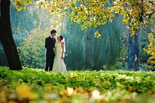 Удивительные фотографии свадебной пары в волшебном осеннем лесу — стоковое фото