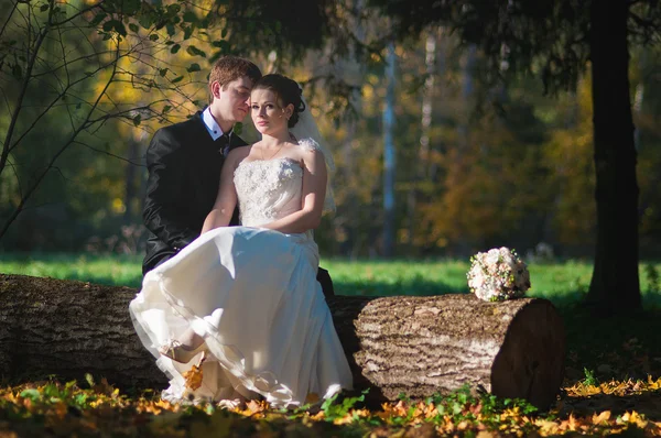 Pareja de boda sentada en el tronco al atardecer —  Fotos de Stock
