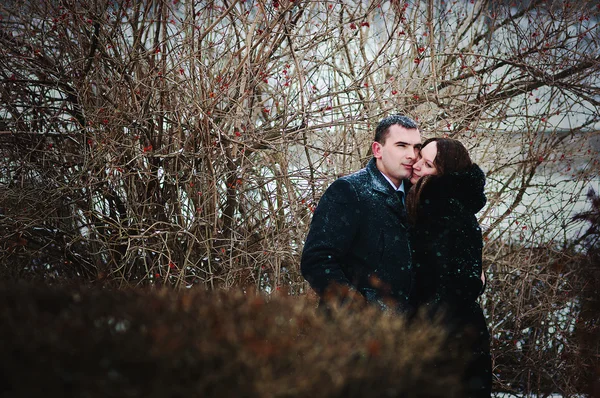 Joven pareja amada en invierno día de nieve — Foto de Stock