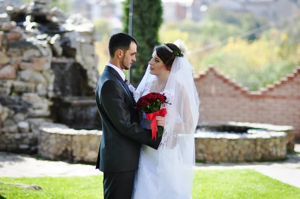 婚礼情侣背景交叉与喷泉 — 图库照片