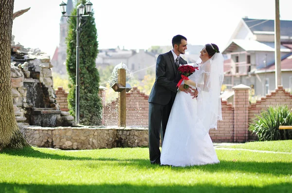 結婚式のカップルの背景は噴水のあるクロスします。 — ストック写真