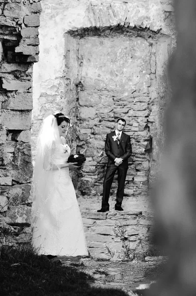Γαμήλιο ζεύγος πάνω στα ερείπια του παλιού κάστρου — Φωτογραφία Αρχείου