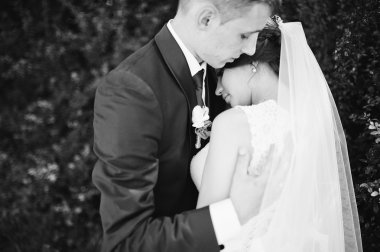 Yeni evli yeşil bush yakınındaki aşık