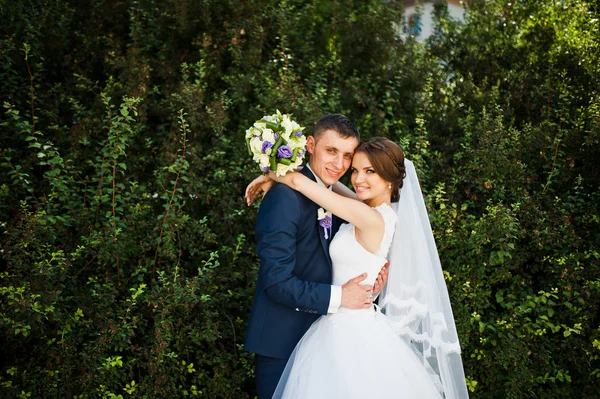 Recém-casado no amor perto de arbusto verde — Fotografia de Stock