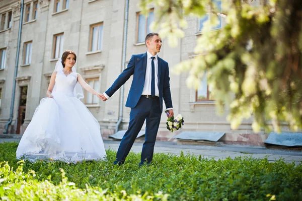 Newlywed in love near green bush — Stock Photo, Image