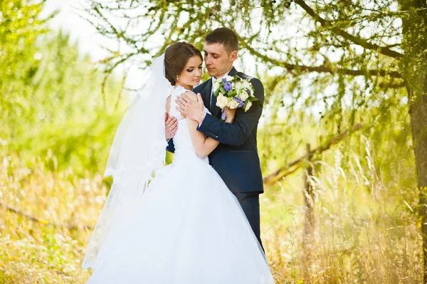 Jeunes mariés amoureux près de la brousse verte — Photo