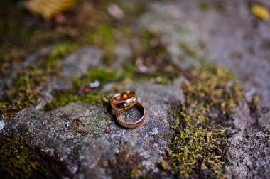 Alyans taş yosun ile