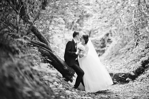 Couple de mariage à allée verte — Photo