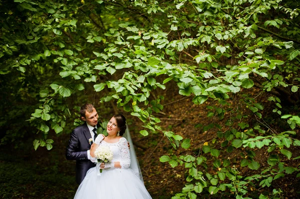 Pareja de boda en el callejón verde —  Fotos de Stock