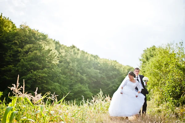 結婚式のカップルで、奇跡的に森 — ストック写真