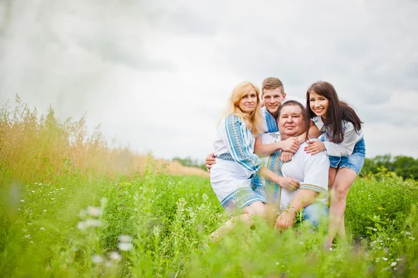 Família feliz se divertindo em campo — Fotografia de Stock