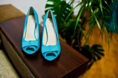 Gelin kurdela ile turkuaz Ayakkabı 