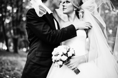 Düğün çift aşık peçe altında kapatın 