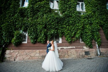 Bitkiler evde arka plan üzerinde yeni evli