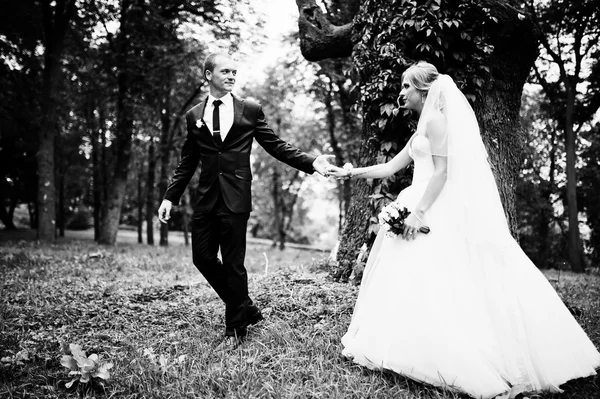 Wedding couple near the old trees overgrown vegetation — Stock Photo, Image