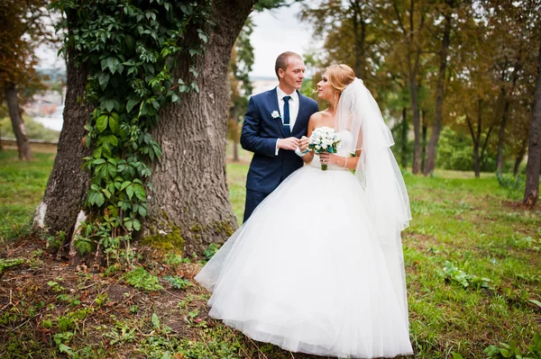 Bröllopsparet nära gamla träd bevuxen vegetationen — Stockfoto