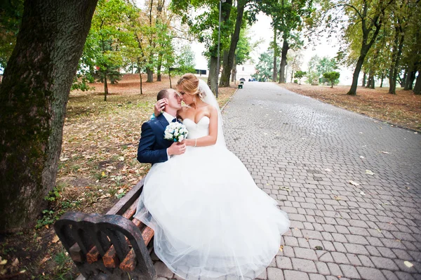 Pareja de boda sentada en banco de madera —  Fotos de Stock