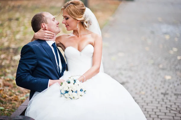 Wedding couple sitting on wooden bench — Stock Photo, Image