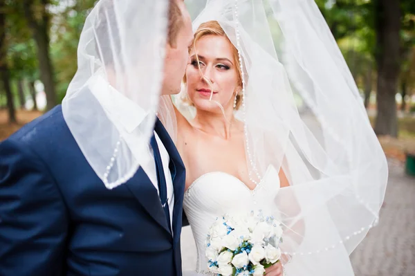 De cerca pareja de boda bajo el velo en el amor —  Fotos de Stock