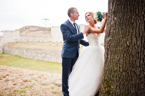 Wedding couple near oak tree background castle — Stock Photo, Image