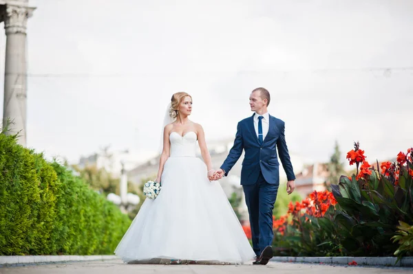 Супружеская пара, идущая по аллее с цветами — стоковое фото