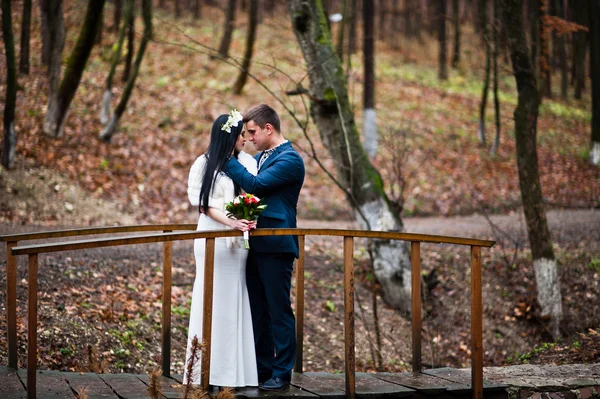 Graciösa bröllop par bakgrund trä med inga lövträd — Stockfoto