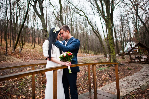 Elegantní Svatební pár na pozadí dřeva s žádné listnaté stromy — Stock fotografie